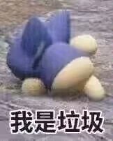 肥猪想吃天鹅肉 tweet media