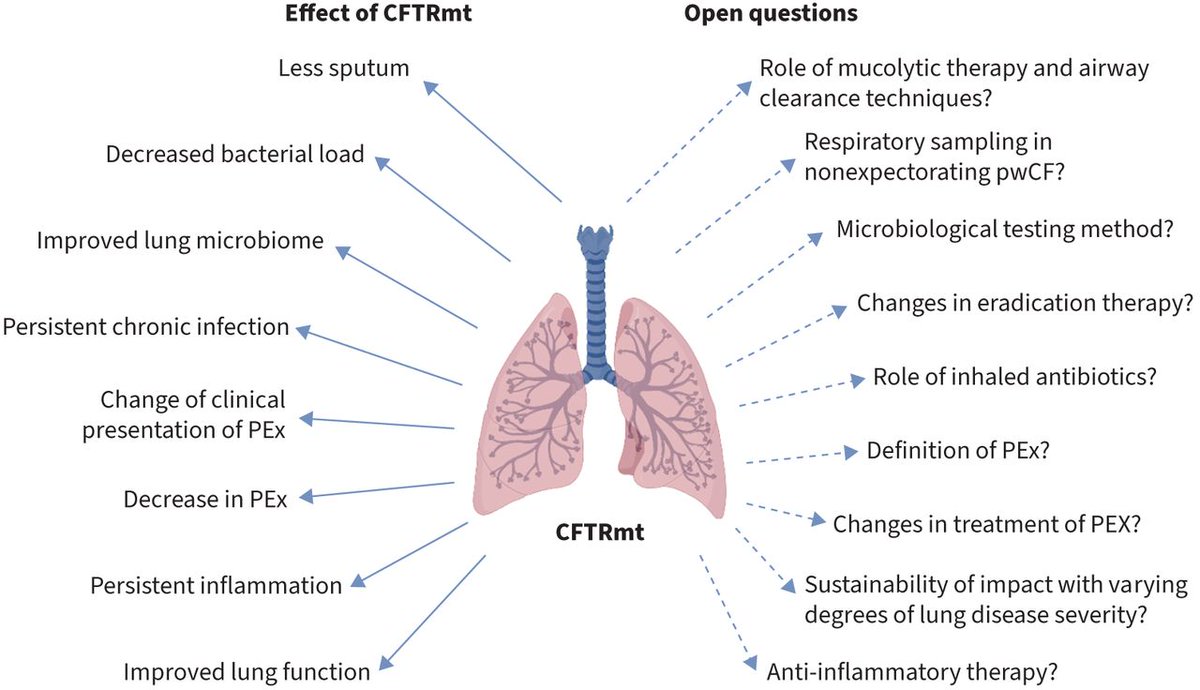 ERR: CFTR modulator therapy reduces lung infection and improves lung microbiome without reaching levels close to healthy. Current evidence is not sufficient to recommend a change in antibiotic treatment in chronic infection or pulmonary exacerbation. bit.ly/4eVsqVM
