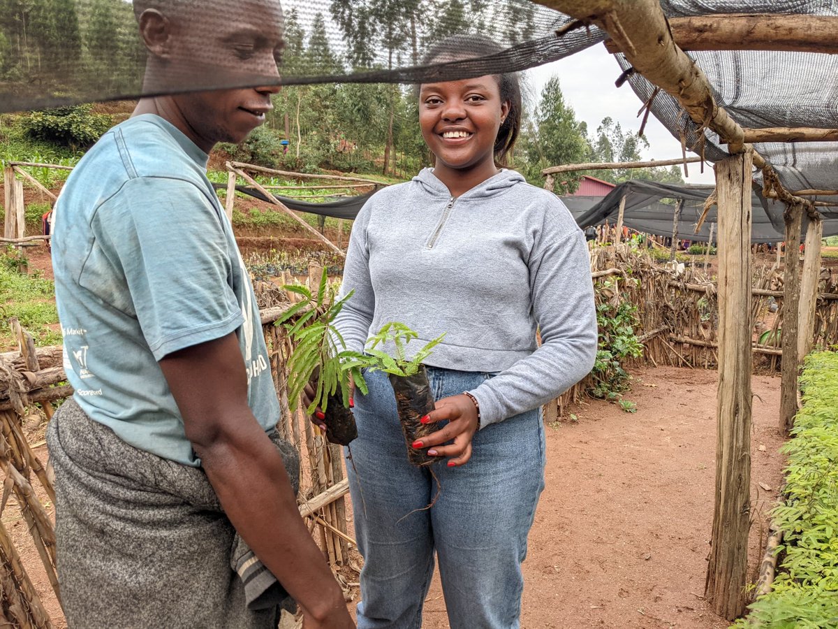 WGYB_NGO's tweet photo. In the #GreenRisingProgram, youth are making significant contributions not only at the local level but also nationally. They play a crucial role in advancing Rwanda’s nationally determined contributions (NDCs) through tree plantation activities, which address climate change and mitigate environmental disasters such as soil erosion. Their efforts directly support Agenda 2030, particularly SDG 13 (Climate Action) and SDG 15 (Life on Land).
Their work also aligns with Rwanda’s Second National Strategy for Transformation (NST2), promoting environmental stability. Moreover, they enhance community health and well-being, contributing to SDG 3 (good health and well-being). Through their dedication, Green Rising ambassadors are driving sustainable development and fostering resilience at multiple levels.
#GreenRising
#ClimateAction
#Agenda2030
#SustainableDevelopment
@RwandaYouthArts @GenUnlimited_ @unicefrw