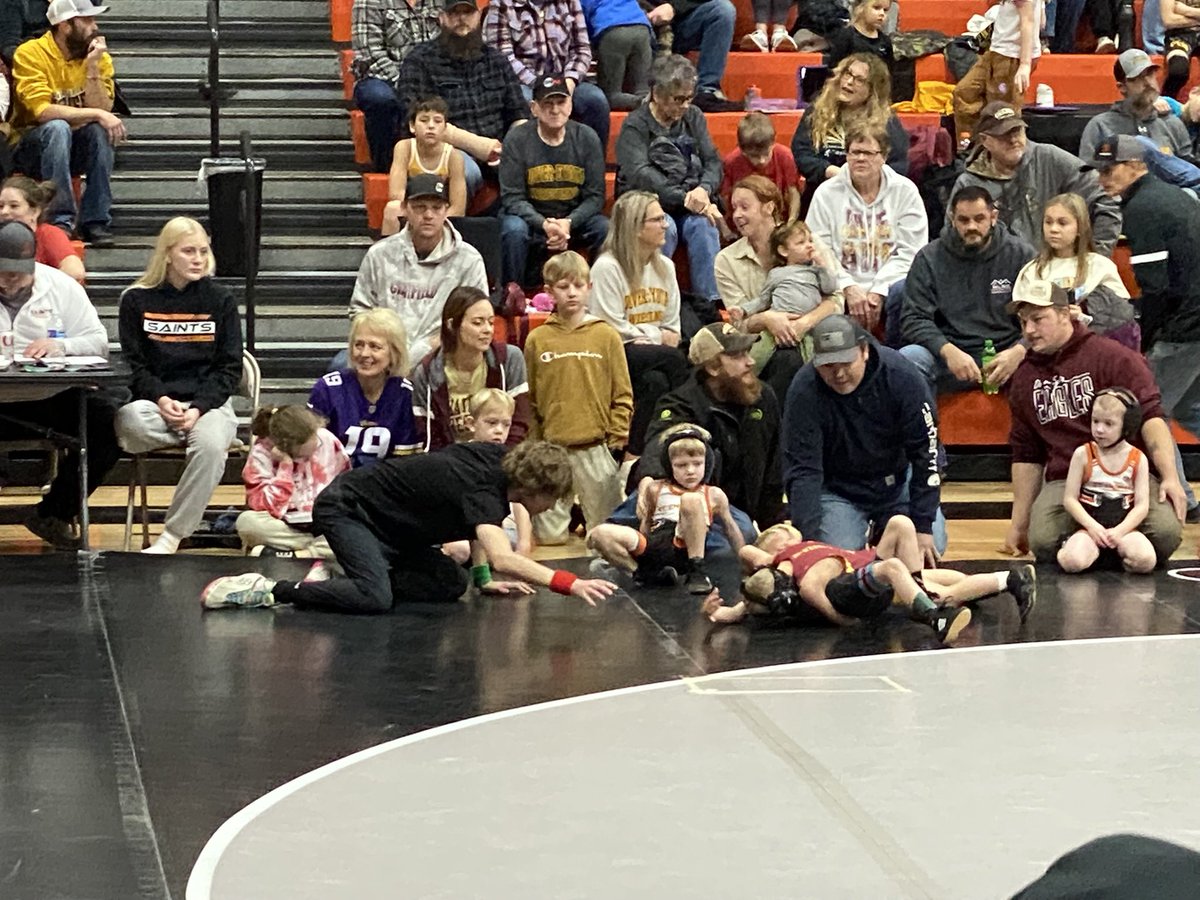Pine Island Wrestling tweet media