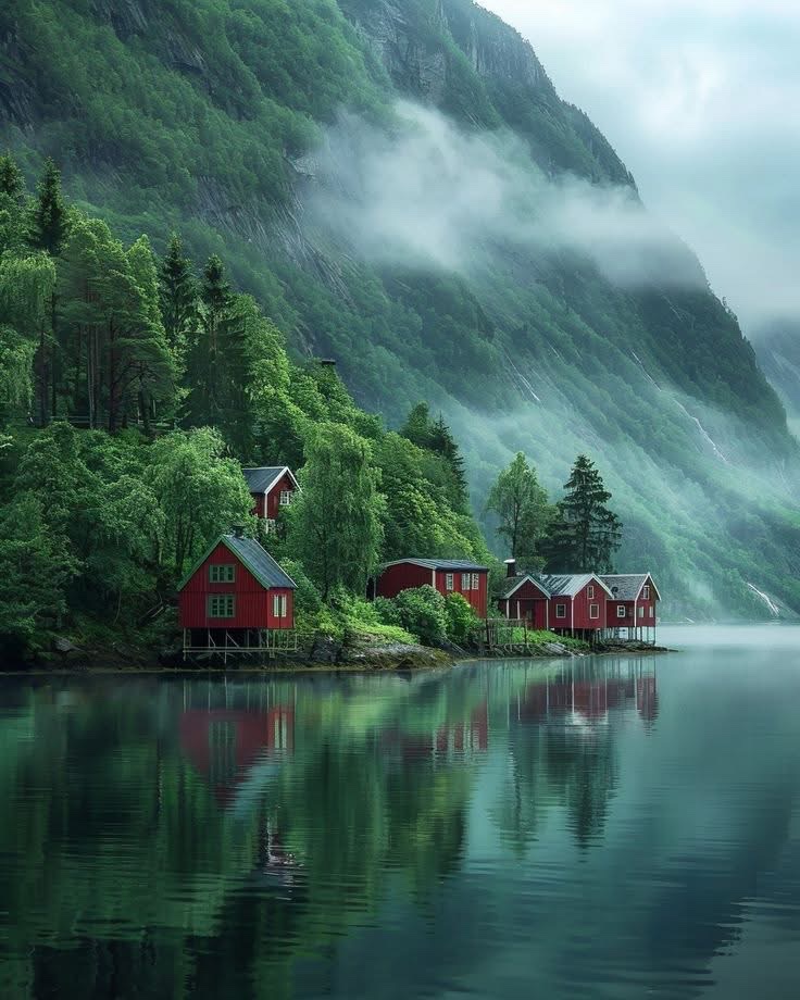 SeascapeNature's tweet photo. Fjords of Norway 🇳🇴 https://t.co/3LtgnHdYpQ