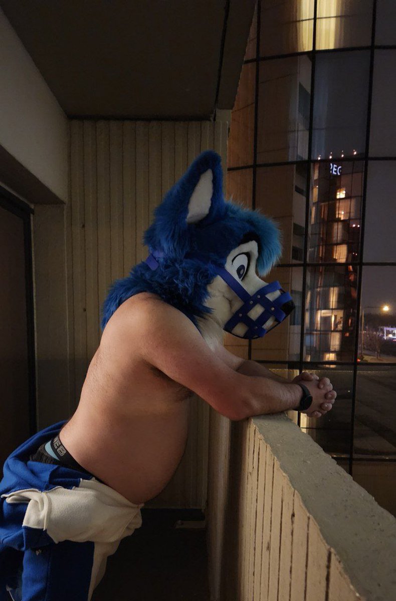 One of the things I don’t like about bigger conventions like MFF with a nice fursuit made by a big maker. Lots of people say they love your suit, take pictures, etc. You don’t get flirted with, asked if you want belly rubs, how you maintain a perfect curl, etc. A bit superficial.