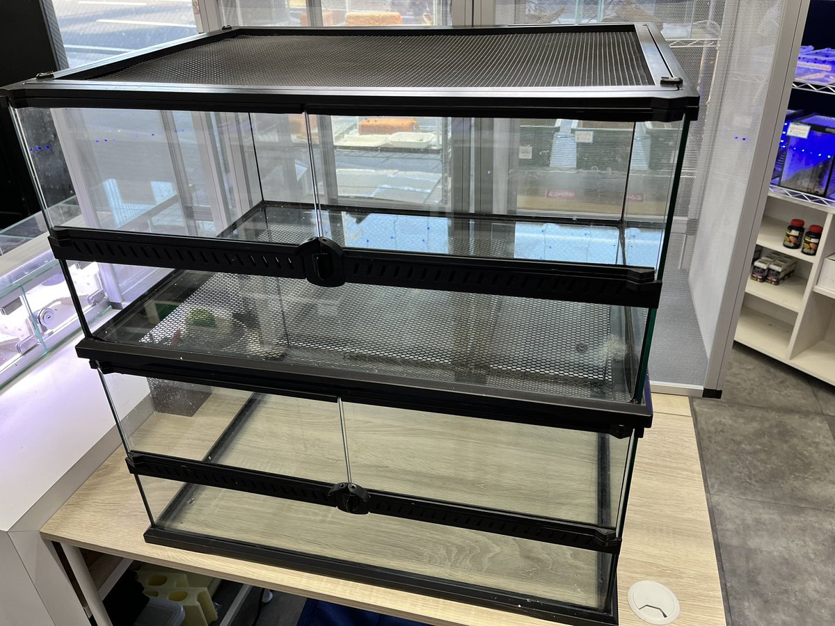 reptilespro03's tweet photo. 中古ケージ大量に入荷しましたので、本日より大特価にて販売しております✨️
全て早い者勝ちなので、気になる方はお早めに‼️

 #れぷたいるずプロ #兵庫 #姫路 https://t.co/oxqDujV8Yr