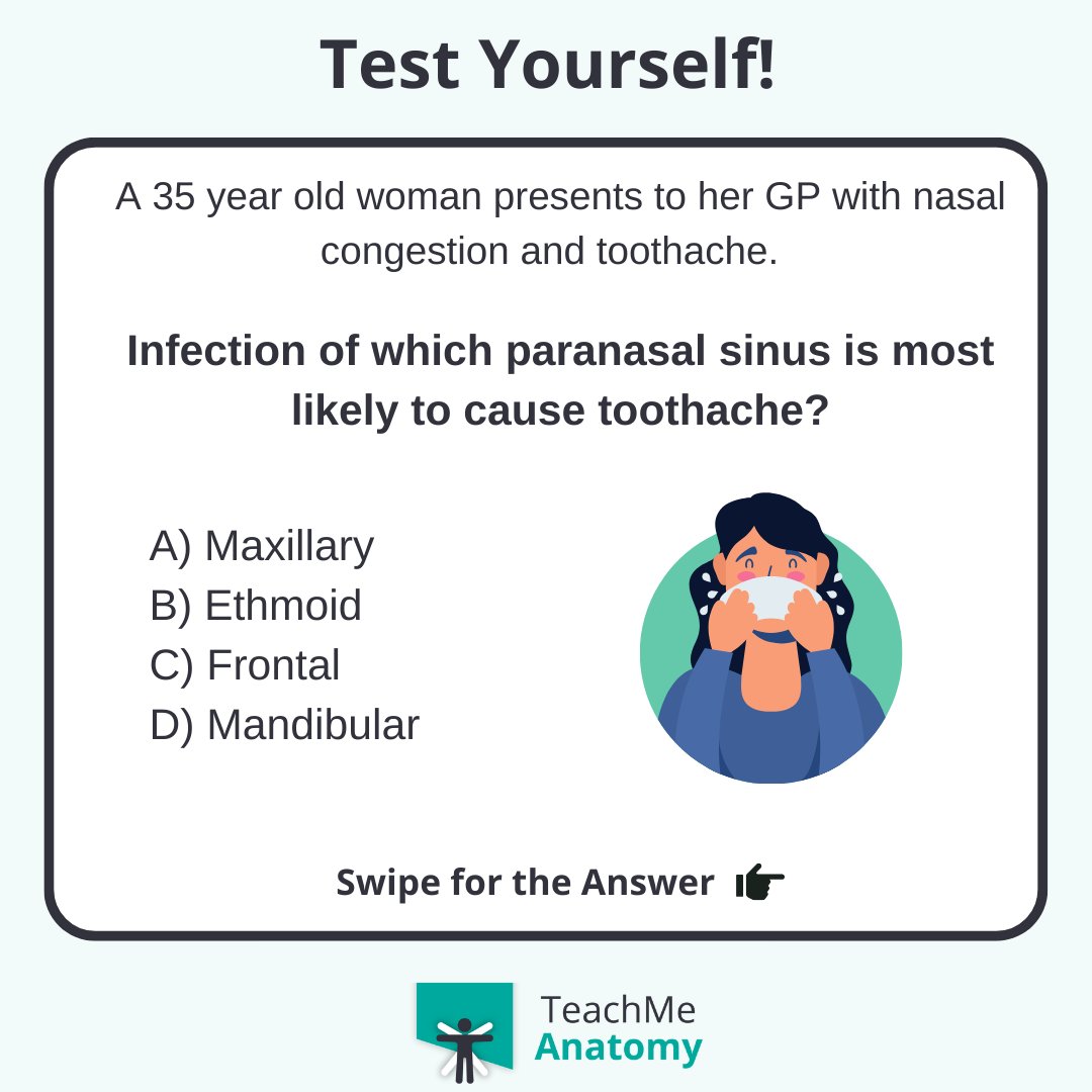 TeachMe_Support's tweet image. Test your clinical knowledge!🏆 Infection of which paranasal sinus is most likely to cause toothache?#quiztime #QuizoftheWeek  #quizoftheday #meded #medschool #medicalstudent #medstudent #premed #premedlife #nursing #nursingschool #studymotivation #medlife #surgery #juniordoctors