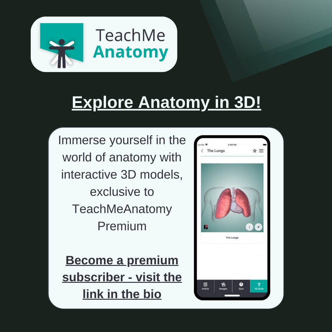 TeachMe_Support's tweet image. &quot;Explore Anatomy in 3D and supercharge your anatomy learning with TeachMeAnatomy Premium 🚀

Find out more: teachmeanatomy.info/sign-up/&quot;#medicalstudent #medicine #medstudent #medicalschool #medschool #physician #futuredoctor #premed #studymotivation #medlife #surgery #medschoolmemes