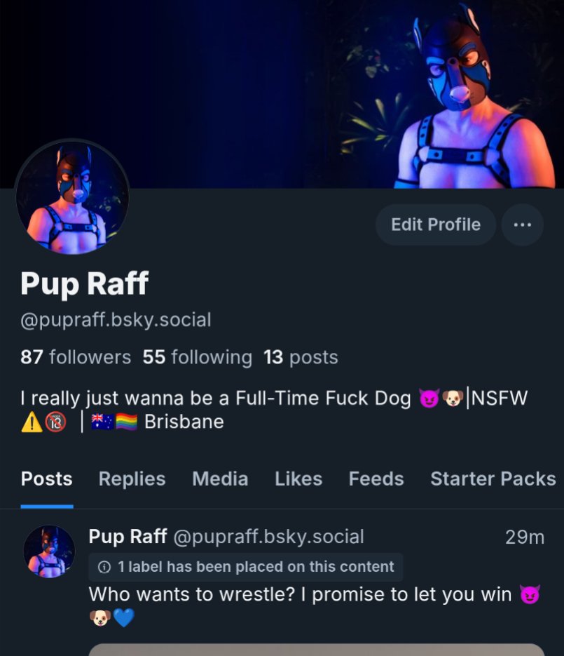 Pup Raff (@pupraff) / Posts / X