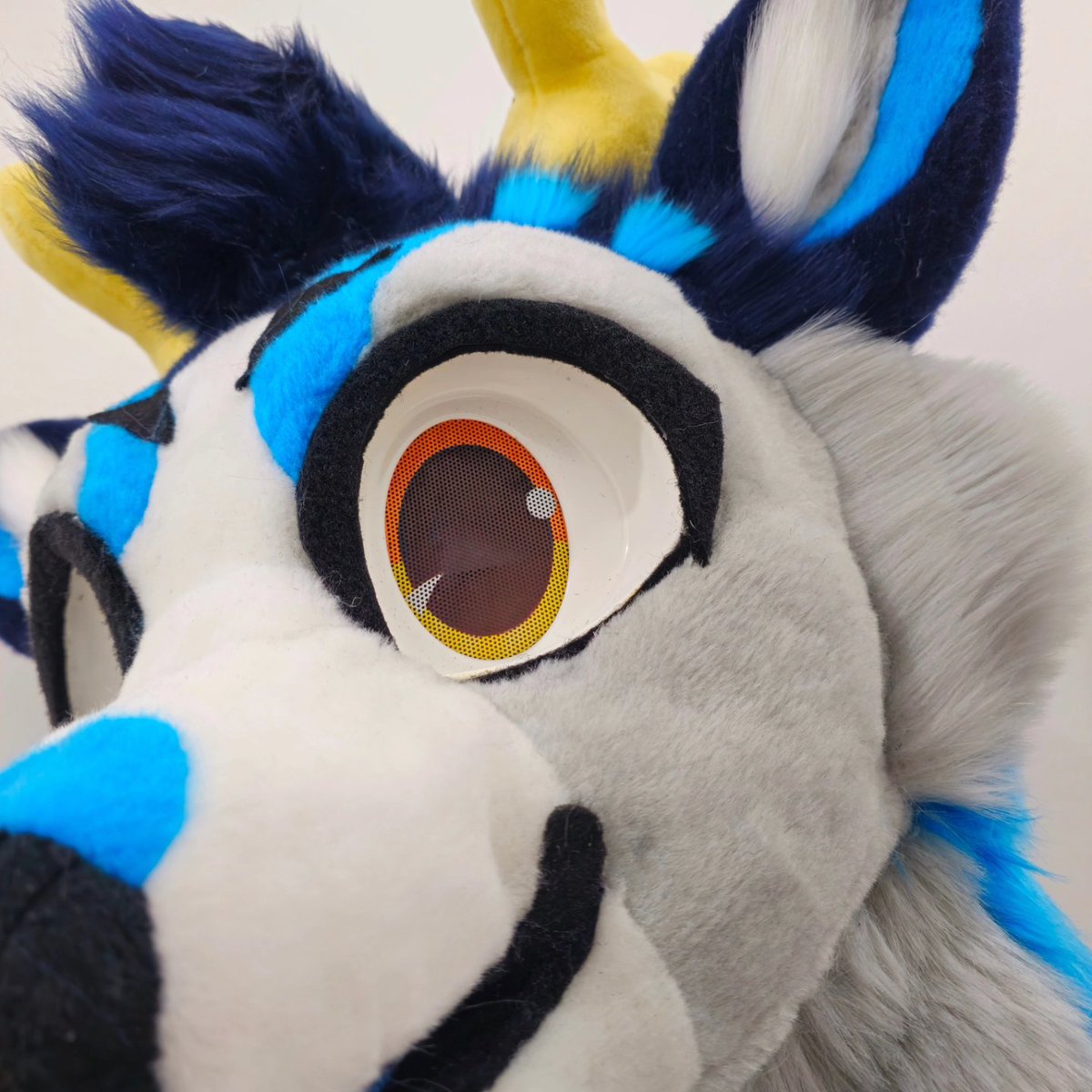 Chonky_Tiel's tweet photo. Premade ready to find a new home! 🐦💕
Deer Fursuit Mini Partial Done! 🦌✅️
Includes
- Furhead
1. Fully lined
2. Lined neck
3. Velcro eyelids
- Hoofs
- Tail
- Digital Badge
💲1️⃣,️7️⃣0️⃣0️⃣.0️⃣0️⃣ USD + shipping
#Fursuit #FurMaker #FursuitMaker #Chonky #Chonky_tiel https://t.co/BvP3bDEYvW