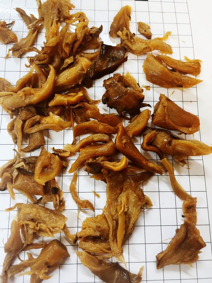 🍃🍄😎
Pulled oesterzwam

Je ziet het steeds vaker op het menu staan. Van pulled zwam tot pulled jackfruit en van pulled oats tot pulled.

Pulled paddo vezels zijn met name interessant voor toepassingen in bijvoorbeeld ragout voor kroketten en bitterballen.

Frank@beefygreen.nl