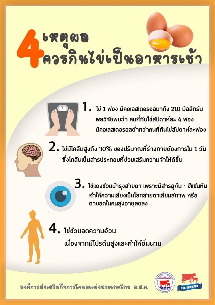 lok_thrrma's tweet photo. 4 เหตุผลที่ควรกินไข่เป็นอาหารเช้า https://t.co/Px37Ugifq4