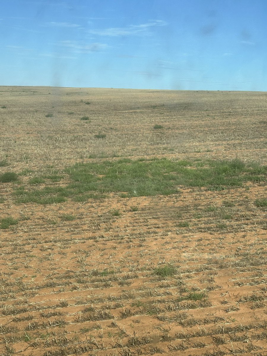 Steve Nitschke tweet media