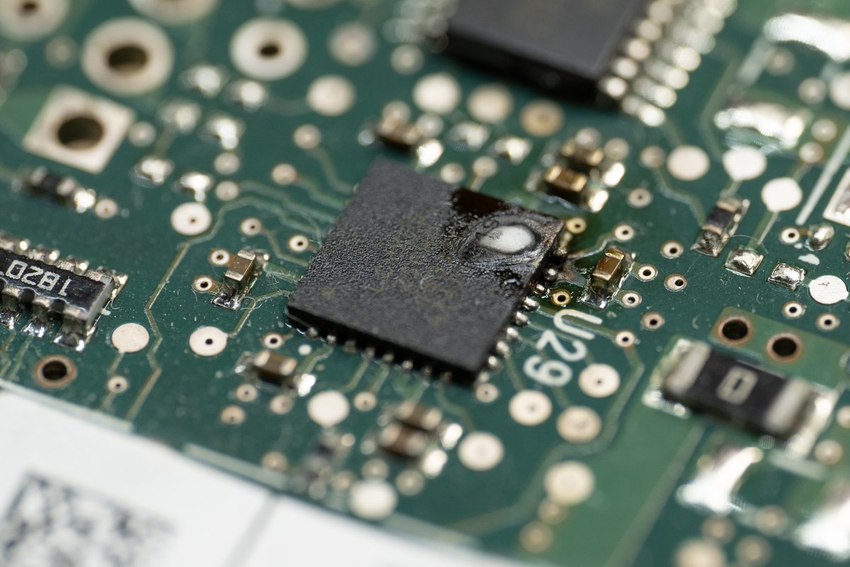 will whang🌻 tweet media