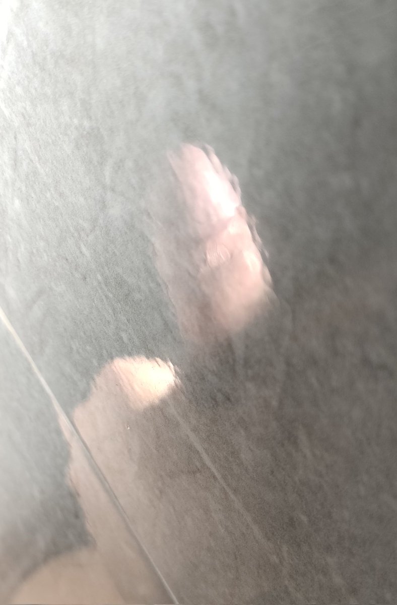 ttololott's tweet photo. 最近好忙，好久都没照顾我的大宝贝了🥵 https://t.co/nMbHwqjpek