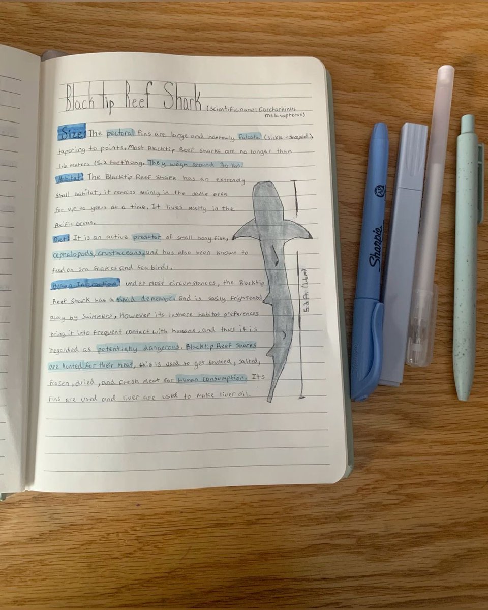 mhm, bueno /le acerca su libreta, mirando a otro lado.