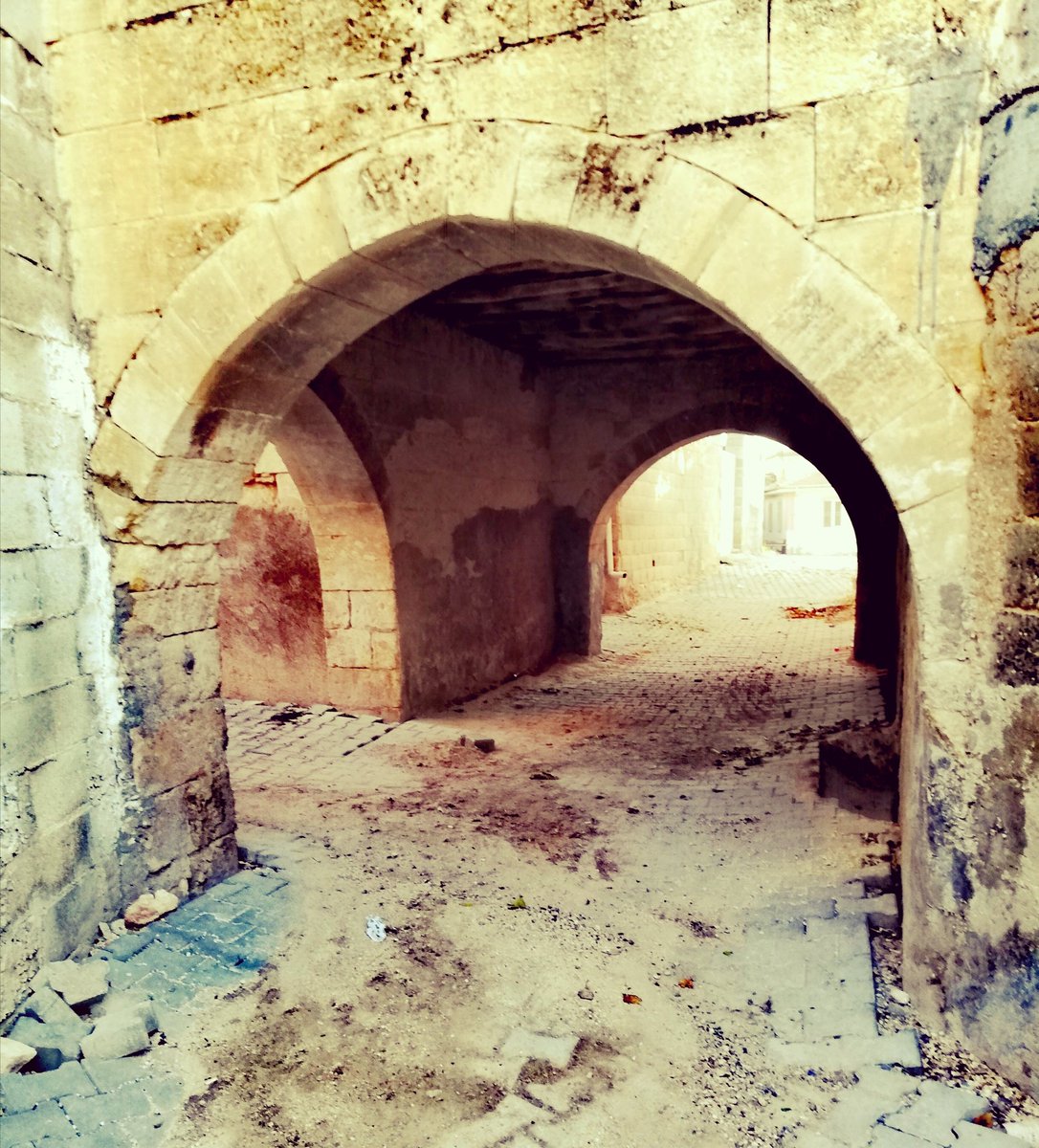 Yollar
Ki gider kimsesiz, tehî, ebedî,
Yollar
Hep birer hatt-ı pür-sükût oldu
Akşamın sîne-î gubârında.