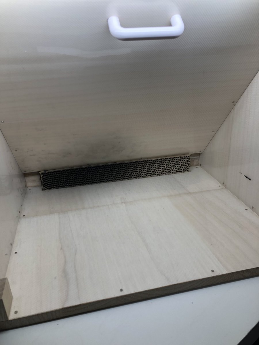 Tenngu_555's tweet image. #urlife #エアブラシ #塗装ブース 
先日完成した塗装ブースとurlife製のエアブラシを使ってみました😊
エアブラシはやっぱり購入して正解でした👍☺️
塗装してる時の楽しい事🤣
エアブラシって凄いなぁ〜って実感しました✨
塗装ブースも作ってこれまた正解でした👍🙆‍♀️
めちゃくちゃ吸い込むぜ🤣