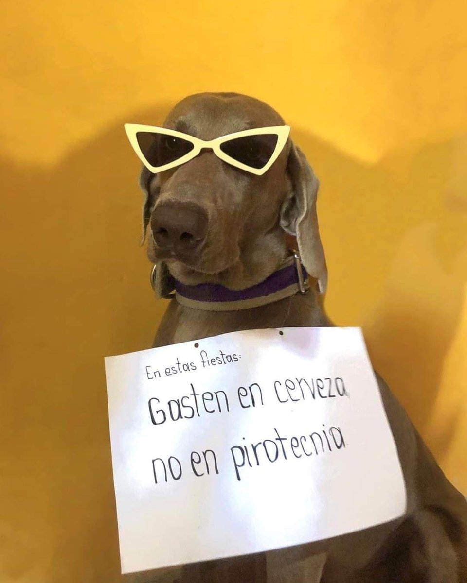 AntiguaEterna's tweet photo. No a la pirotecnia #menospirotecnia https://t.co/4QTigv17dP