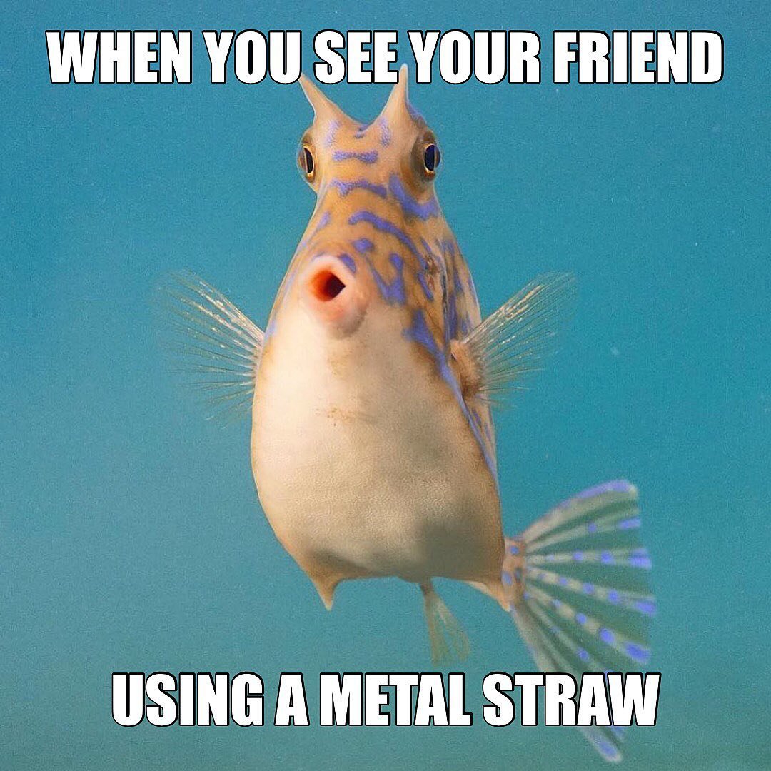 UWA Oceans Institute (@uwaoceans) on Twitter photo 