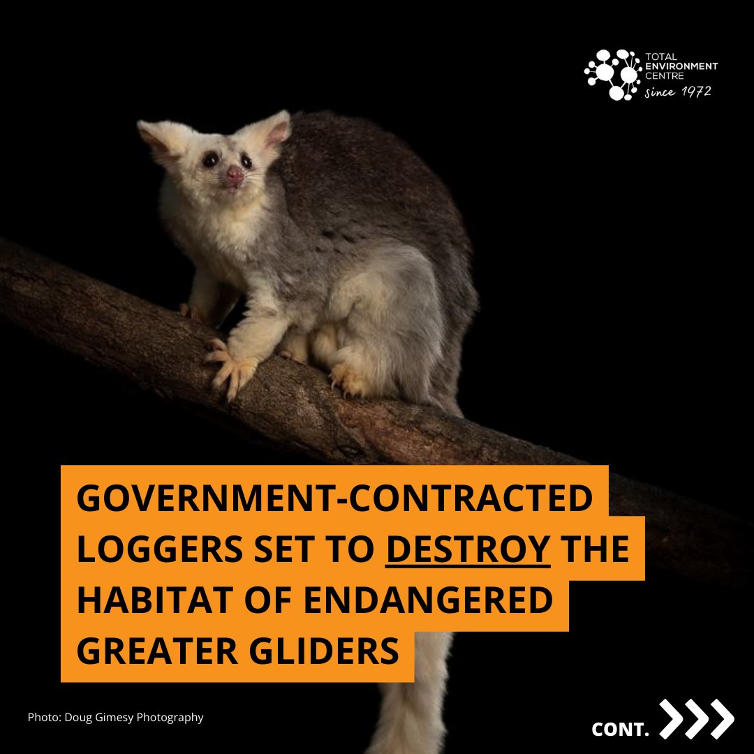 Total Enviro Centre tweet media