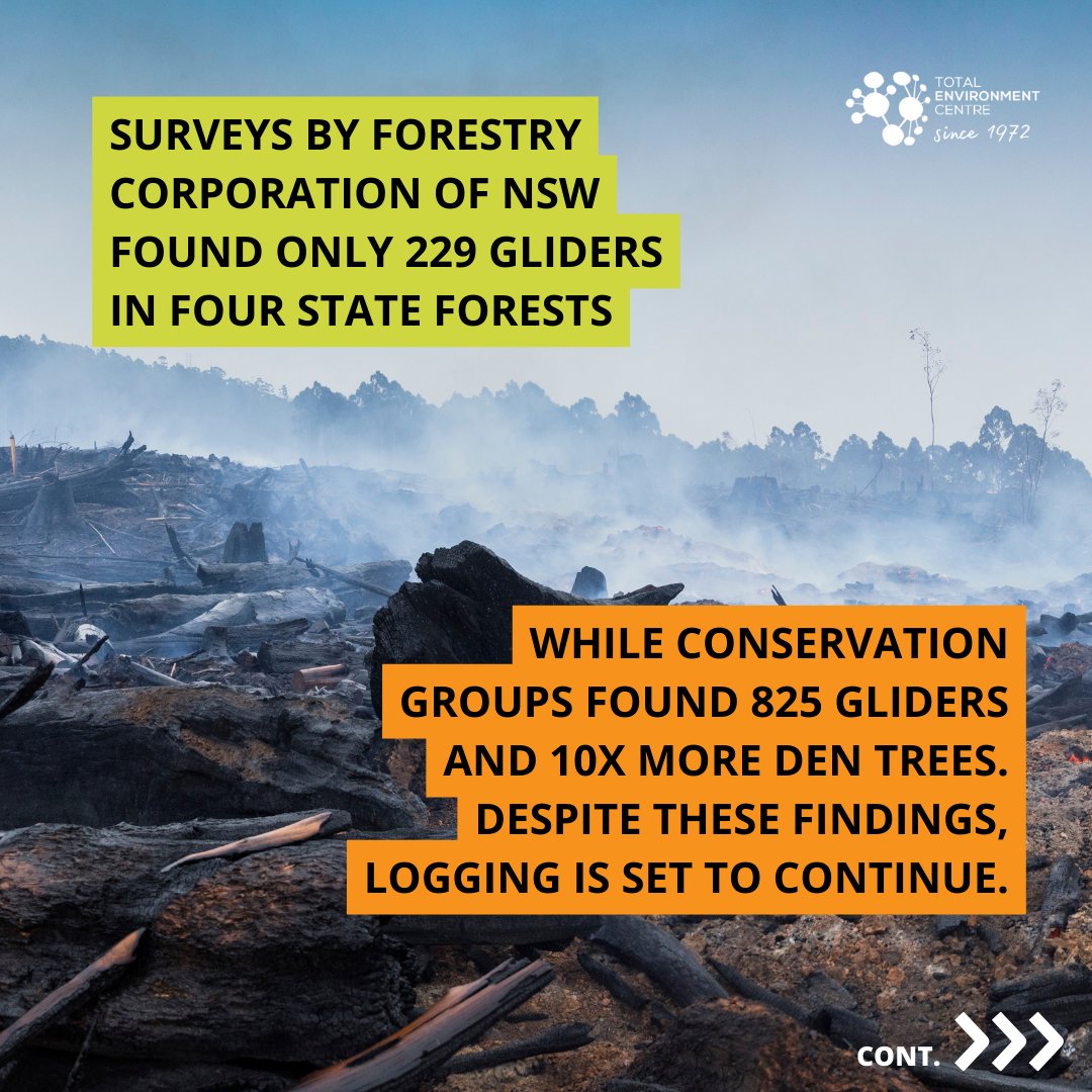 Total Enviro Centre tweet media