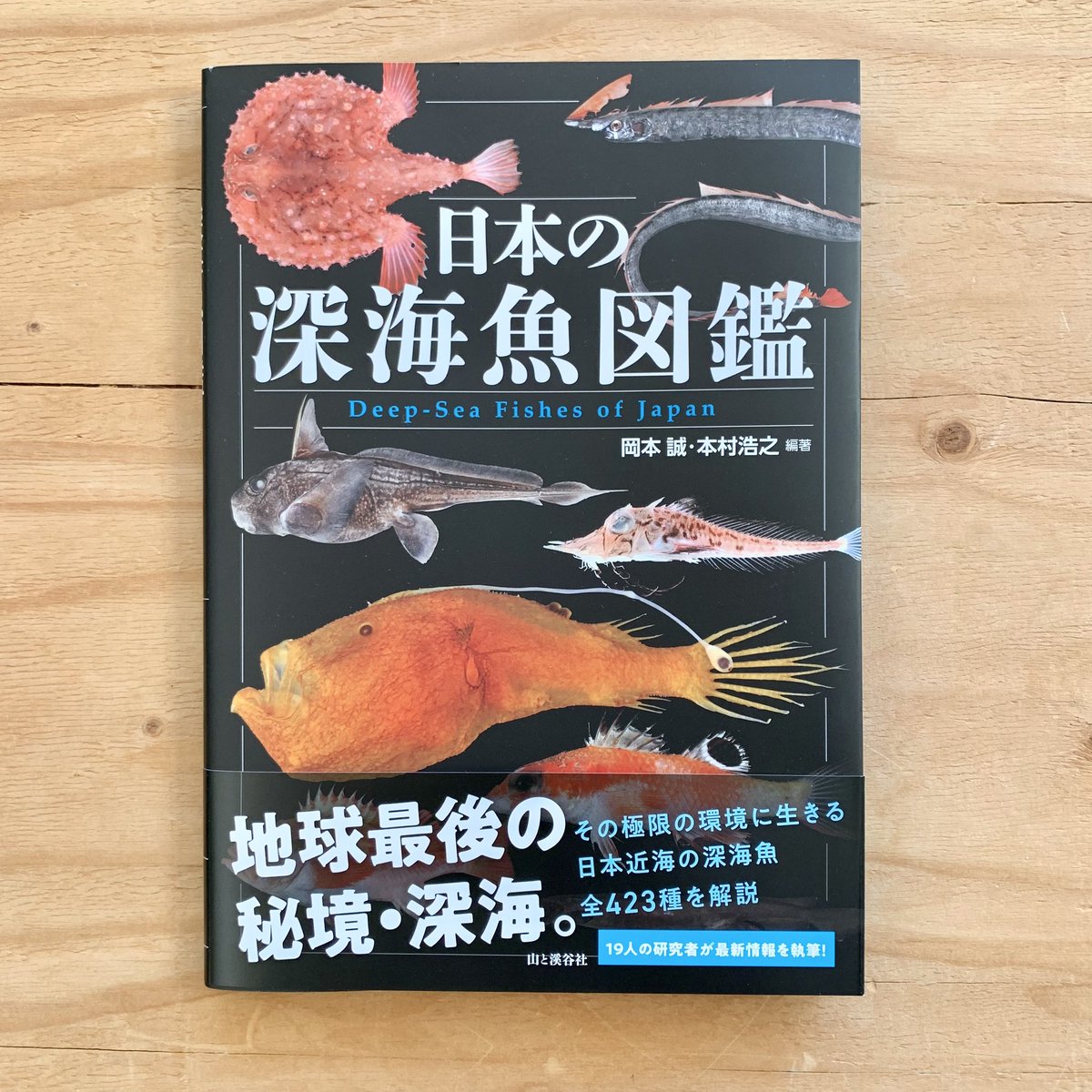 お待たせしました！『日本の深海魚図鑑』再入荷しました🐟 ぜひぜひ