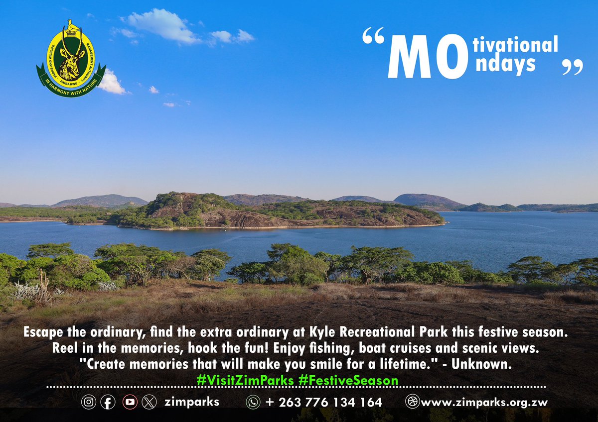 Zimparks tweet media