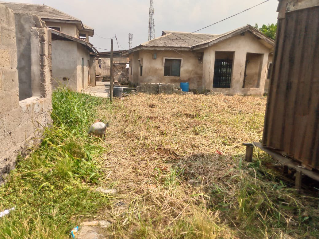 Shantytown Empowerment Foundation tweet media