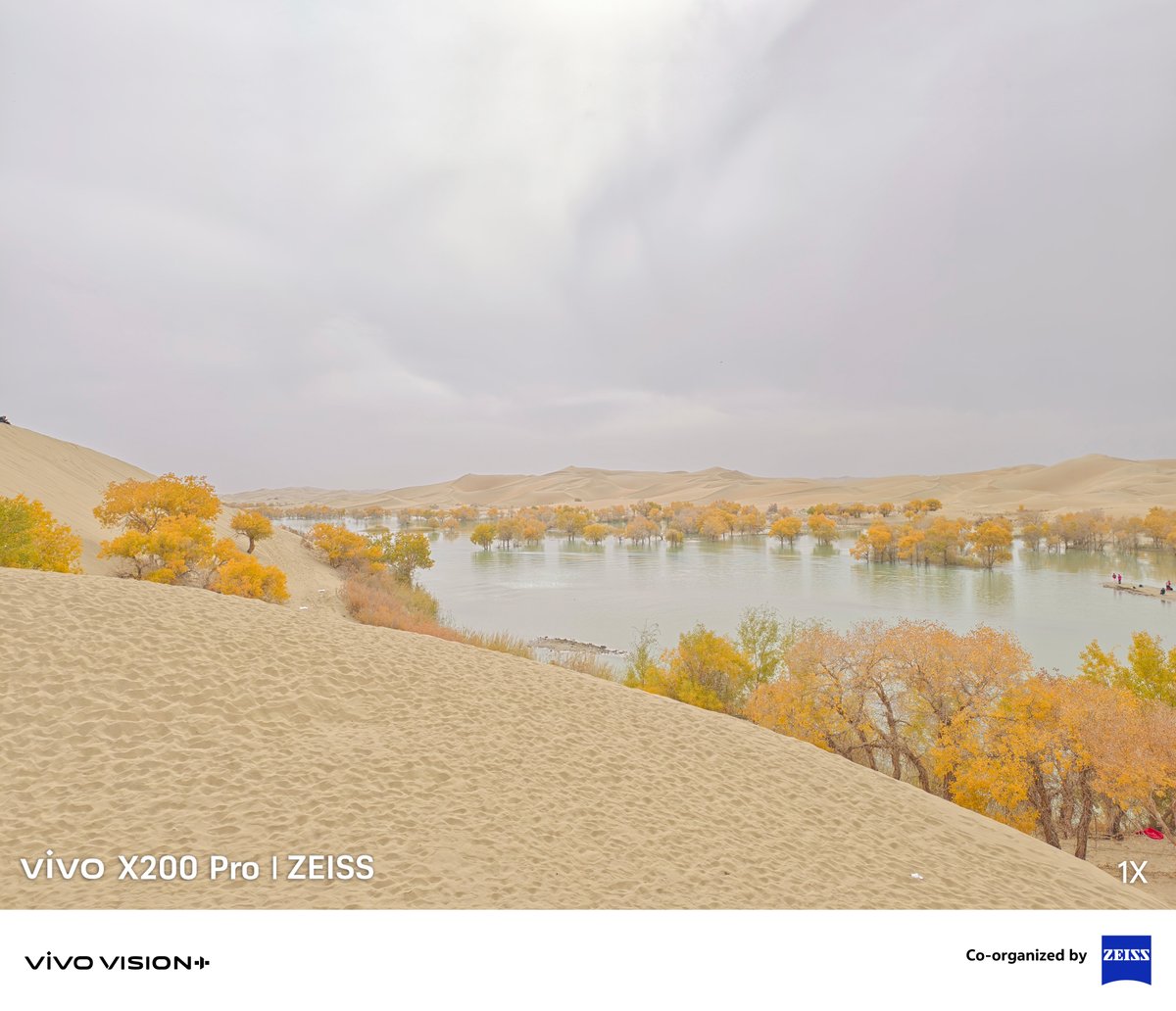 Vivo_GLOBAL's tweet image. Capture the beauty of an oasis from the endless desert with the precision of telephoto.🏜️​

✨ Submit your best shots to the #Telephoto &amp;amp; #Macro category at the vivo VISIONPlus Mobile PhotoAwards 2025. 🌍 Visit our official website to enter today!​

#Shotonvivo #vivoVISIONplus