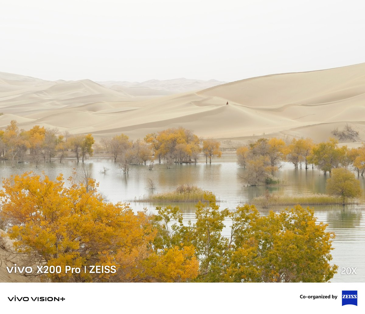 Vivo_GLOBAL's tweet image. Capture the beauty of an oasis from the endless desert with the precision of telephoto.🏜️​

✨ Submit your best shots to the #Telephoto &amp;amp; #Macro category at the vivo VISIONPlus Mobile PhotoAwards 2025. 🌍 Visit our official website to enter today!​

#Shotonvivo #vivoVISIONplus