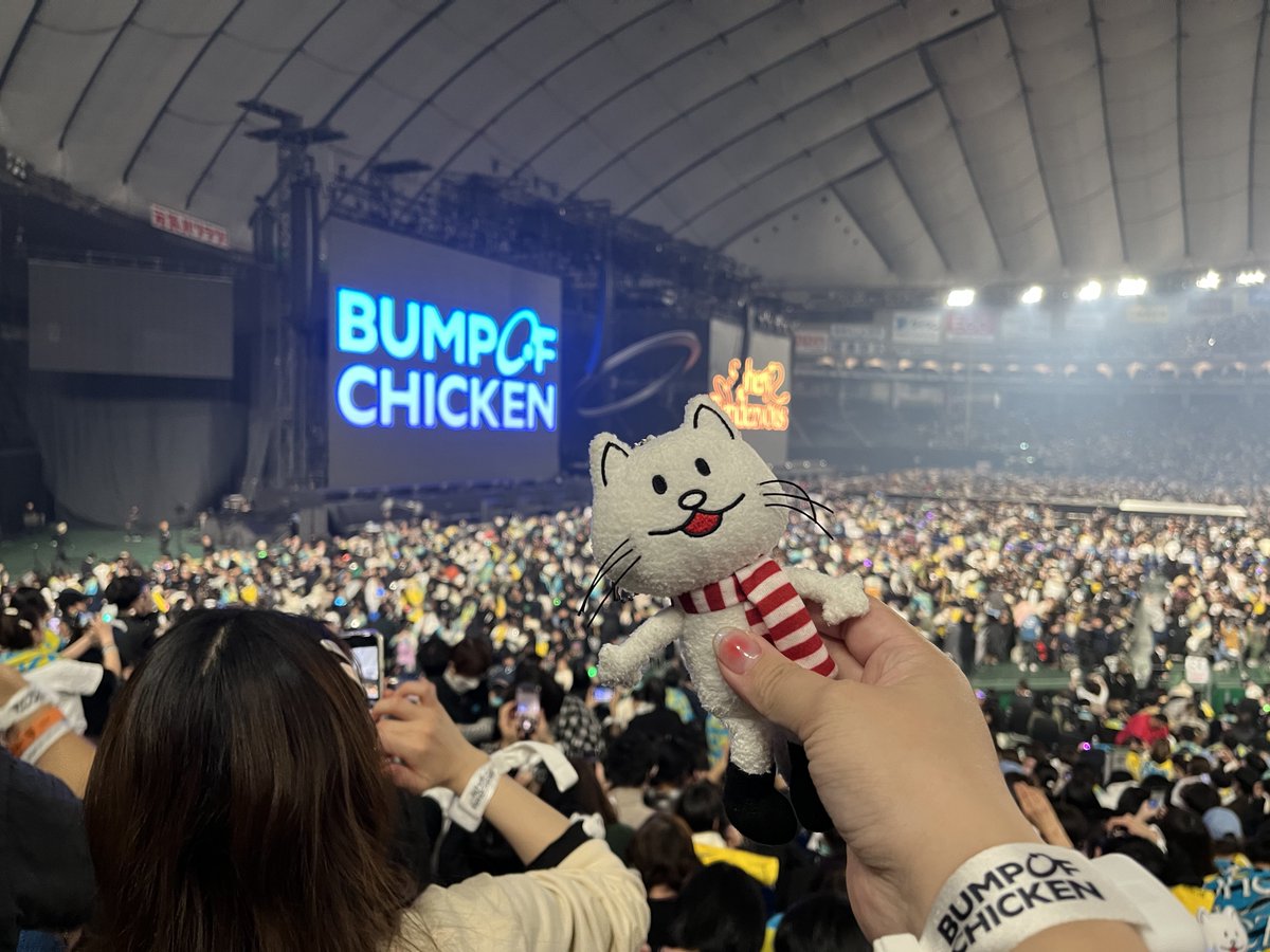 たるぺちーの tweet media