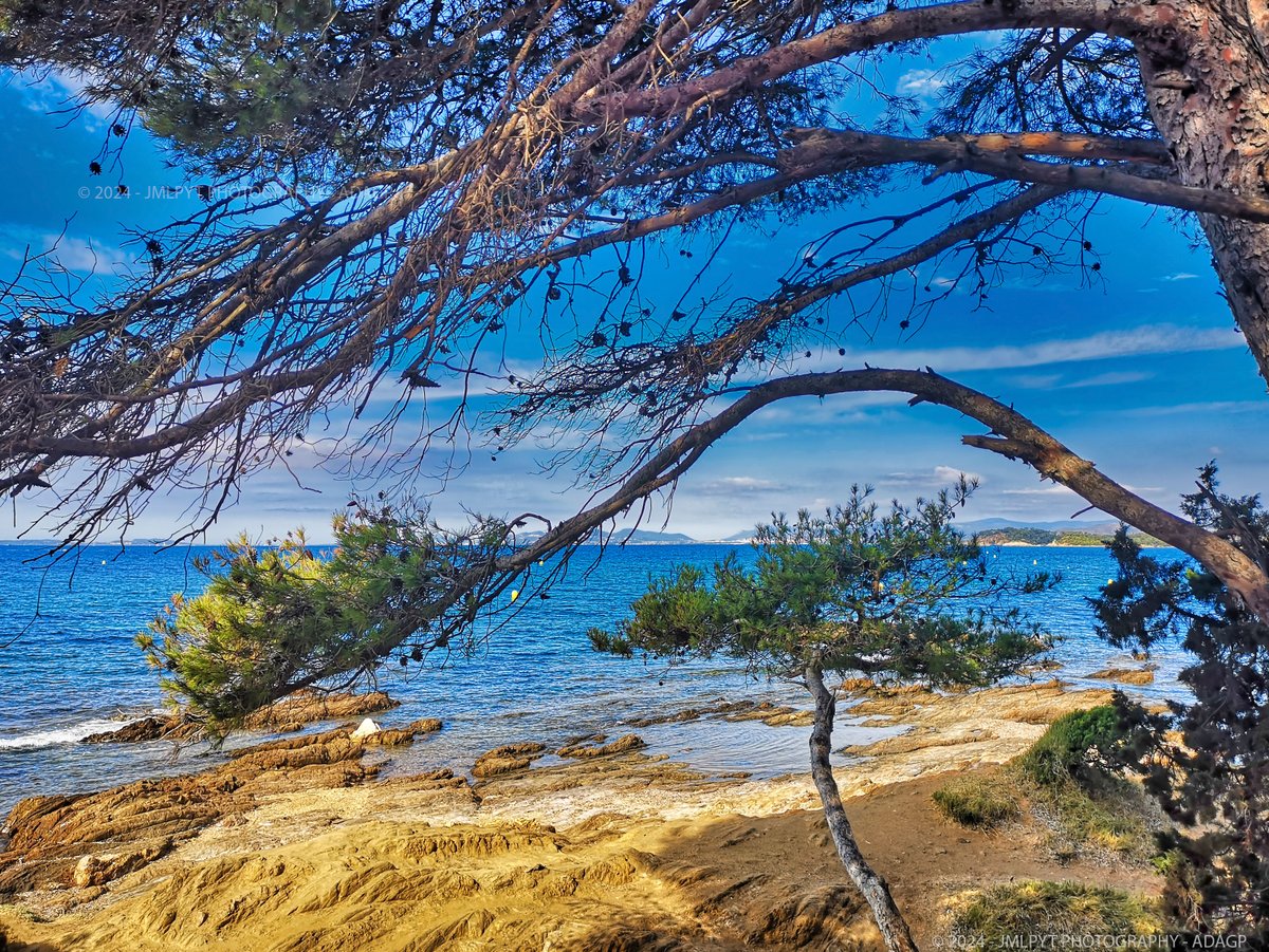 jmlpyt's tweet photo. Depuis la plage de Cabasson à Bromes-les-Mimosas.
Canon EOS 5D Mark IV
#bormes #bormeslesmimosas #bormeslesmimosastourisme #visitvar #levarlunique #departementduvar #bregancon #jmlpyt #jmlpytphotography #cotedazur #cotedazurfrance #visitcotedazur #visitfrenchriviera #frenchriviera #shootuploadrepeat #gettyimages #gettyimagescontributor #canon #canonphotography #canoncamera #canonphotographers #regionsud #regionsudpaca #maregionsud