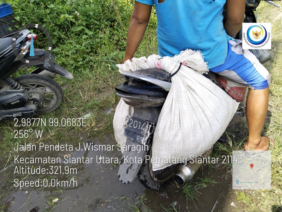 meinitadmk79's tweet photo. Kamis, 07 November 2024
Panen ikan lele di pokdakan Rap Taruli kelurahan Pondok Sayur kec. Siantar Martoba. 
Panen 250 kg. Size 1-2 ekor/kg. Harga Rp. 22.000/kg. Padat tebar 600 ekor. 
#LuhkanKotaPematangsiantar
#GiatLuhkanSatminkalMedan
#BPPPSDMKKP. https://t.co/6M5CHvCvRh