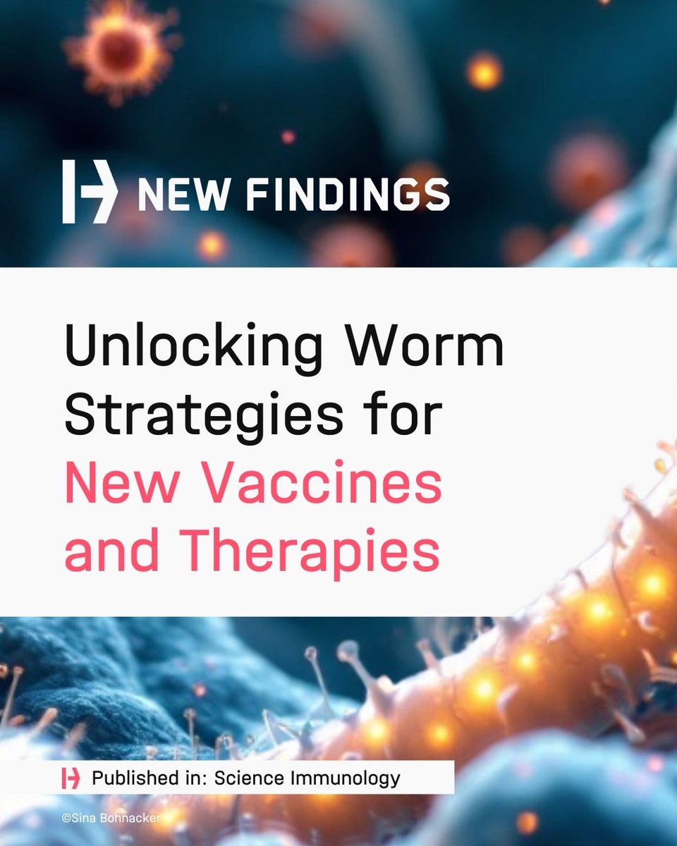 Decoding Worm Strategies to Advance Vaccines and Therapies 🧬
👉t1p.de/56h2i

A study led by Prof. Julia Esser-von Bieren and Dr. Sina Bohnacker, #HelmholtzMunich, <a href="/TU_Muenchen/">TU München</a>, and <a href="/unil/">Université de Lausanne</a>, reveals how worm parasites (#helminths) evade immune defenses by manipulating