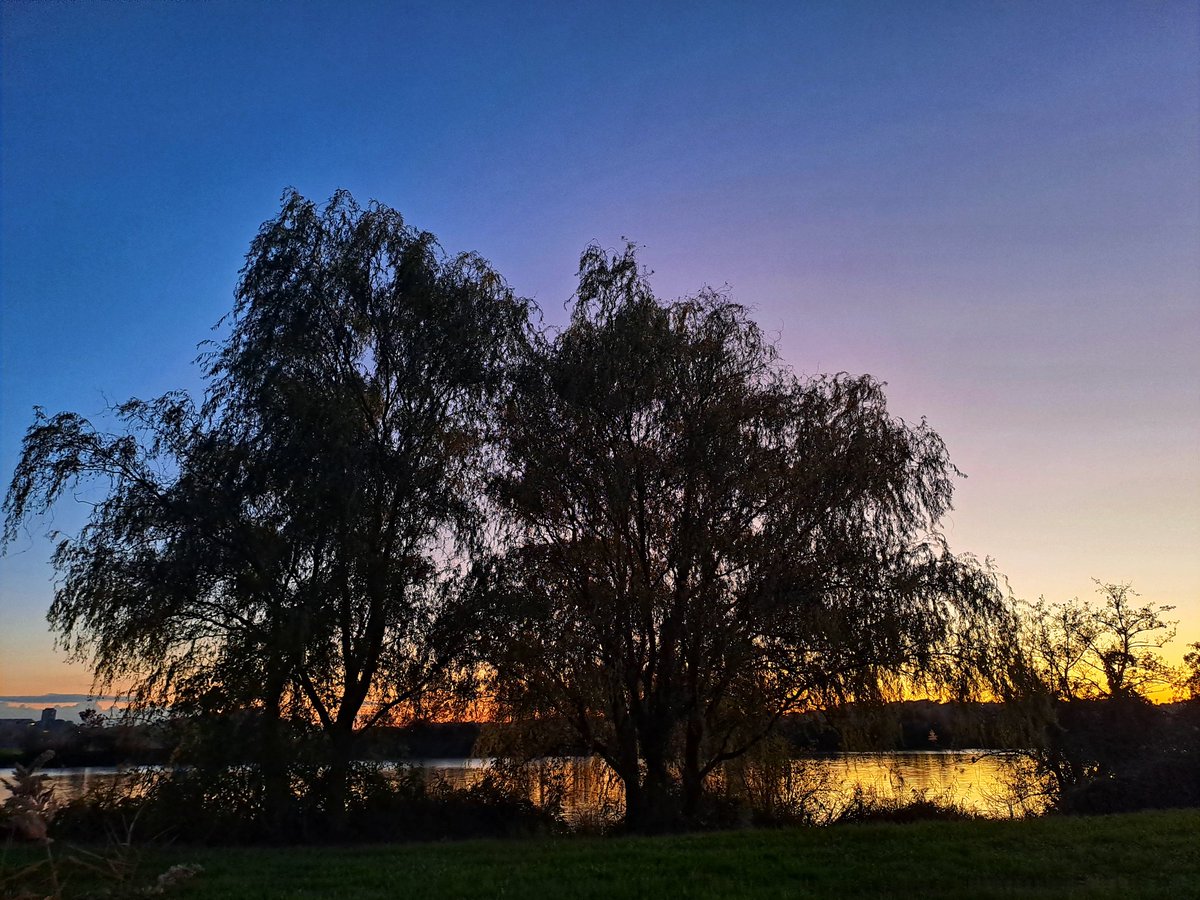 E lungo il Tevere che andava lento lento
Noi ci perdemmo dentro il rosso di un tramonto
Fino a gridare i nostri nomi contro il vento

Claudio Baglioni, 📷 mia