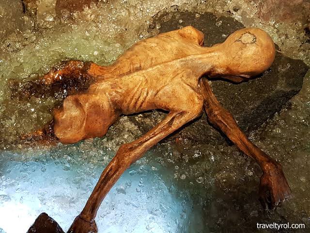 rakiplerine büyük bir fark açıyor.
Araştırmalara göre öldüğünde 45 yaşlarındaydı, 50 kiloydu ve 165 cm boyundaydı. 1991 yılında bulunduğunda ise küçülerek mumyalaşmasından dolayı 13 kiloydu. Ölürken ise üzerinde birkaç farklı hayvan derilerinden yapılmış kıyafetleri ve