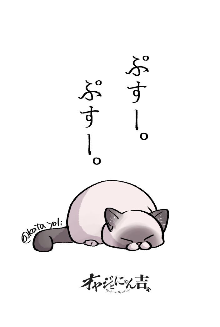 「#オヤジとにゃん吉」は今週もお休みを頂いてます🐾
来週は更新される予定ですのでどうぞよろしくお願いいたします!