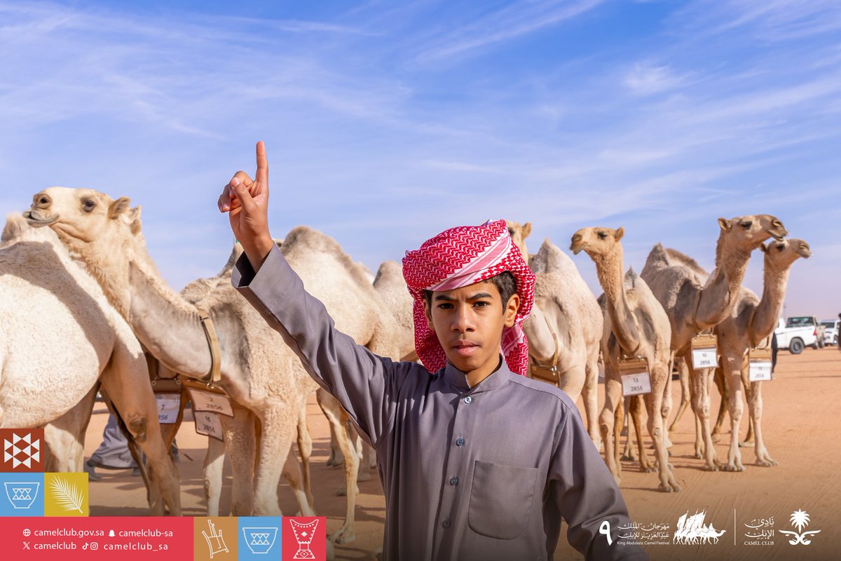 CamelClub's tweet photo. 📸 | دخولها باهر 
وجهورها حاضر 🐪🔥
#مهرجان_الملك_عبدالعزيز_للإبل9 
#نادي_الإبل  | #عام_الإبل_2024 https://t.co/RkUzM8mWov