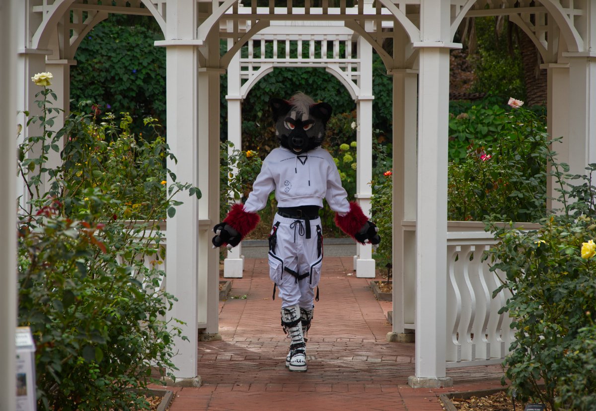 If you see me taking photos at events, there is a good chance I'll be uploading them to <a href="/furtrack/">furtrack</a> which allows for higher quality images!

My photographer tag is artemis_dergon, if you see any pics you may want to post, just tag me!