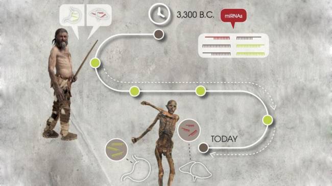 Ancak Ötzi bu yanındaki silahlara rağmen kendini koruyamamış ve görünüşe göre cinayete kurban gitmiş. İlk bulunduğunda donarak öldüğü varsayılmasına rağmen, 2001 yılında yapılan detaylı röntgen incelemelerinde, sol omzunun içinde,