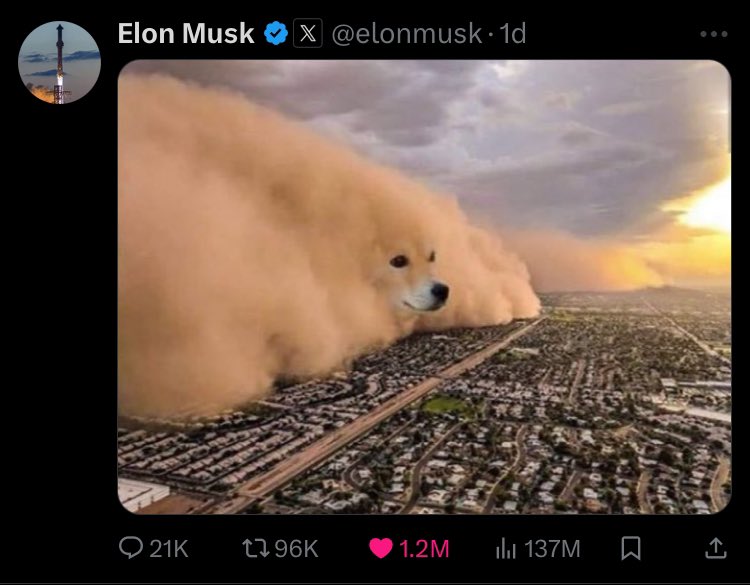 dogegod tweet media