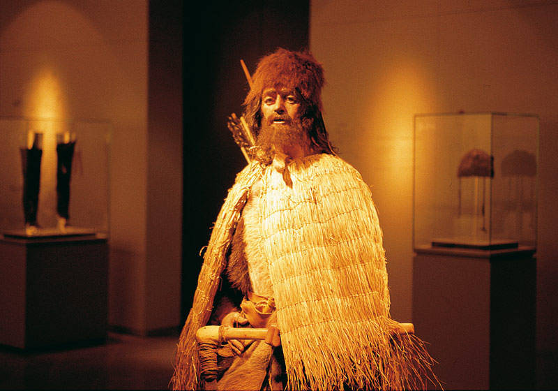 Ötzi’ye tarihte bilinen ilk Lyme hastalığı vakası unvanını da vermiş durumda.
Ötzi şu an da İtalya da bulunan South Tyrol Museum of Archaeology in Bozen-Bolzano da sergilenmekte.