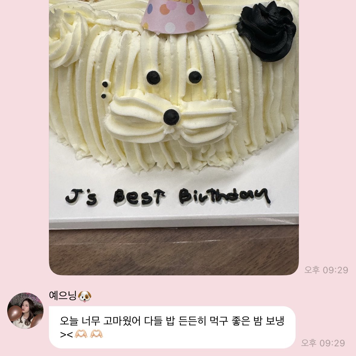 palepink_j's tweet photo. 🐶🎉🥳🎂 https://t.co/rDzXDv5tBz