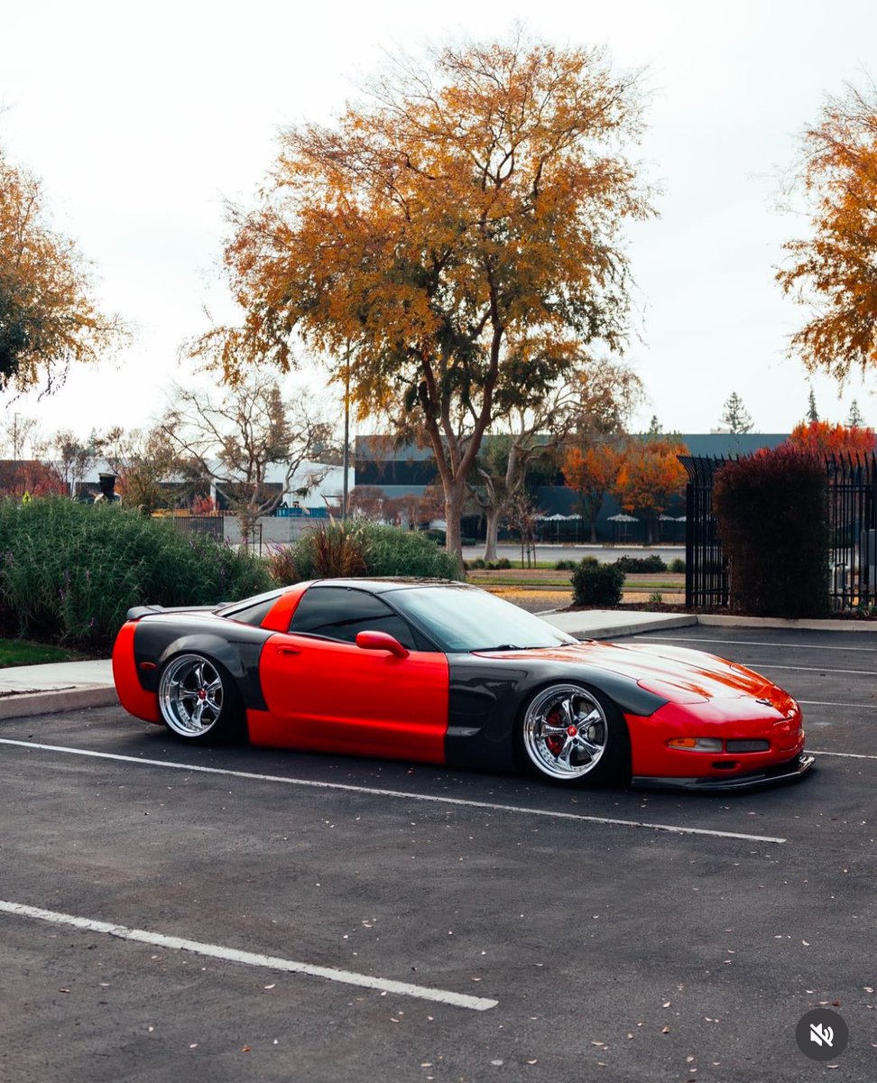 iamfarfrombasic's tweet photo. Bagged vettes have a special place in our eyes.

#farfrombasic #neverkickitbasic #c5 #c5vette #mondaymotivation #MondayMood https://t.co/t1XRu7PRZI