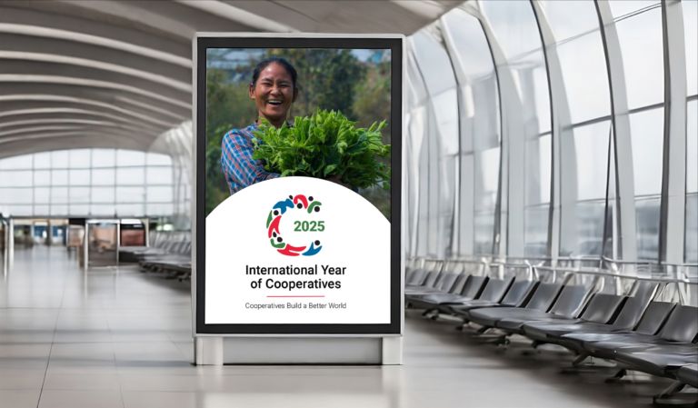 CoopParty's tweet photo. Co-operatives build a better world.

As we head toward the end of an incredible year for our movement, we look toward 2025, the International Year of Co-operatives.

Read more below. https://t.co/mkJaoK5n22