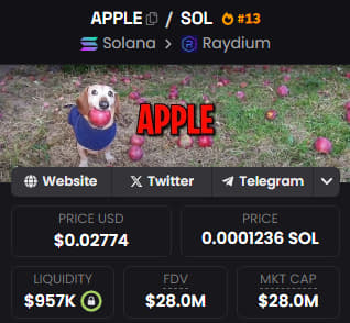 gem_tools's tweet photo. 🎲 Ray new testing phase:

dog with apple in mouth - $APPLE
GTscore: 🌕🌘🌑🌑🌑

H33XL6HHDReCVRgSApZpsXM7Hy7JGyLztRJaGxjapump

Market Cap: $91k  --> $32M ( x350 ) 

a 100$ investment would be $35k

Join us TG in first comment https://t.co/gE0sPcZY6Q