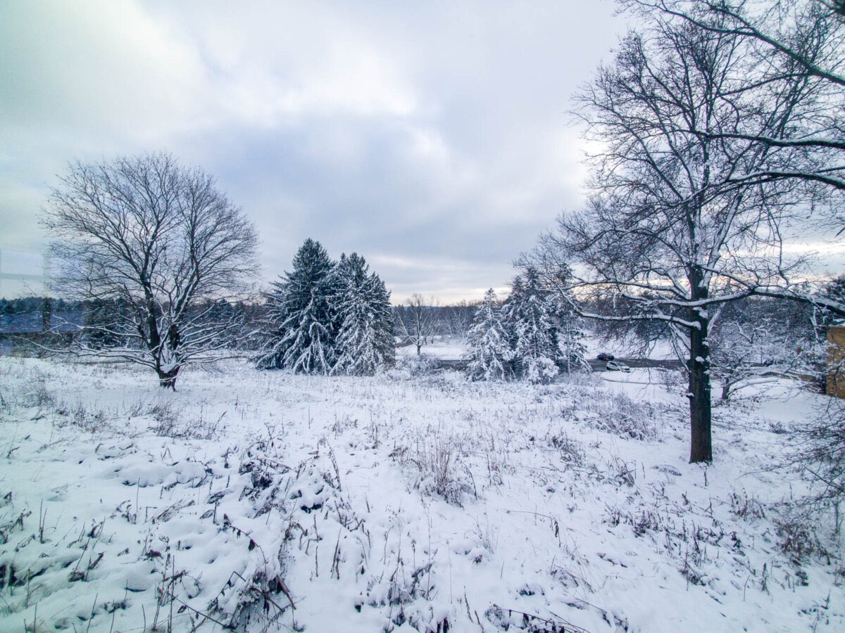Wisconsin Retreat Jan 31 - Feb 2, 2025

The Source of Abundance
with Khadim Chishti
Wisconsin USA, January 31st - February 2nd 2025
Holy Wisdom Monastery, Middleton, WI

sufism.org/events/wiscons…

#sufism #mevlanarumi #spiritualjourney #spiritualretreat #community #love #rumi