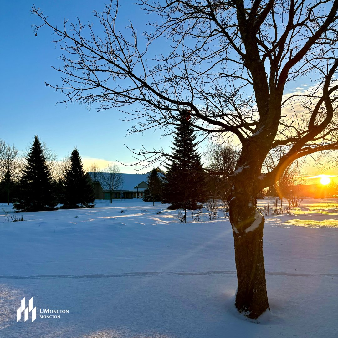 ❄️ Une journée sous la neige pour bien commencer la préparation aux examens ! Bonnes journées d'études à toutes et tous ! ❄️