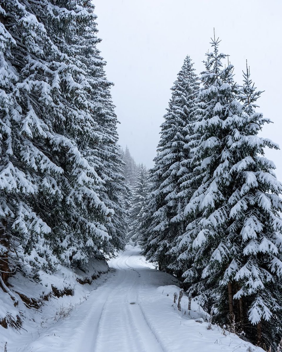 Winter’s Waltz ❄️

🎥 IG @diaryofabalkankid 

#myguidemontenegro #prokletije #winterinmontenegro
