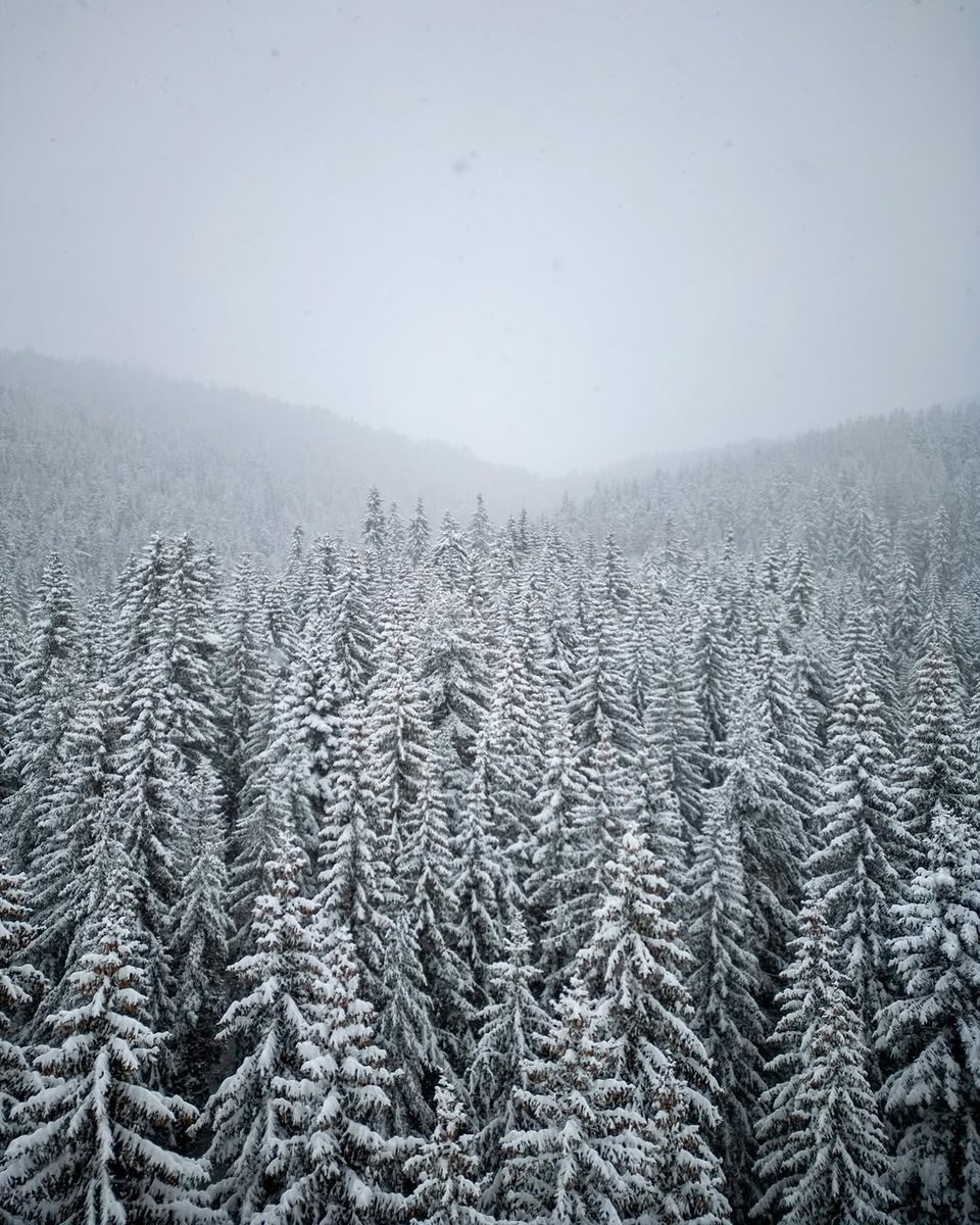 My Guide Montenegro tweet media