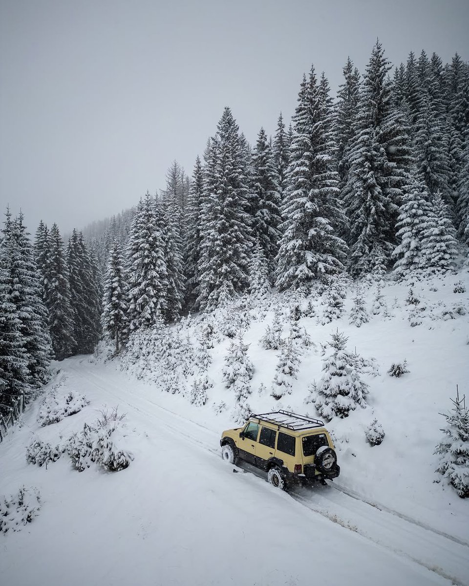 My Guide Montenegro tweet media