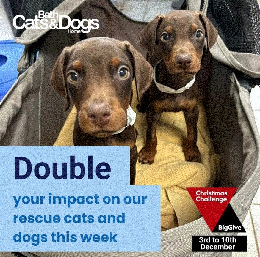 CW Duke Ltd tweet media